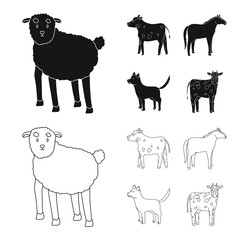 Vector design of breeding and kitchen  sign. Collection of breeding and organic  stock symbol for web.