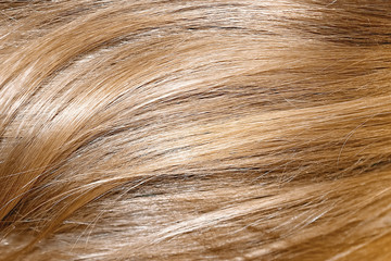 Blond hair as background, texture. One of the popular shades of hair coloring