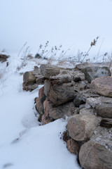 Winter rocks plants landscape nature outdoors