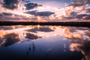 coucher de soleil sur un étang aux teintes violettes