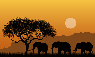 Fototapeta na wymiar Illustration of silhouettes of mountain landscape of african safari with tree, grass and three elephants. Below the orange sky with the sun, vector