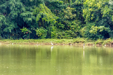 SÃO PAULO - PARQUE DA ACLIMAÇÃO