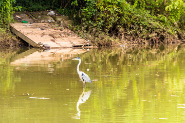 SÃO PAULO - PARQUE DA ACLIMAÇÃO