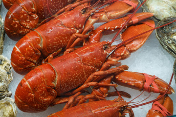 Fresh seafood on fish market. Raw lobsters on ice.