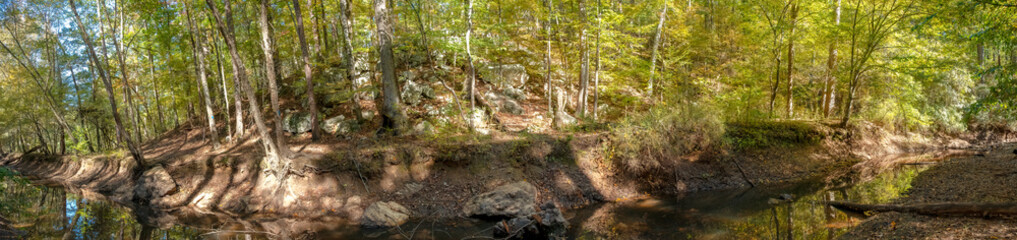 Stream in Mistletoe State Park, Georgia