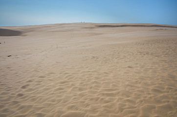 Fototapeta na wymiar sand dune scenery on baltic sea
