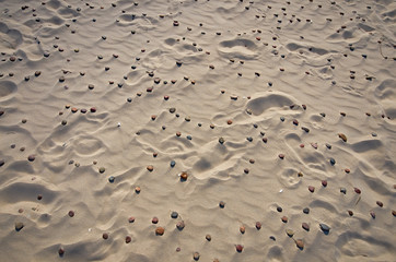 sand dune scenery on baltic sea