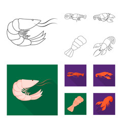 Isolated object of appetizer and ocean icon. Set of appetizer and delicacy stock symbol for web.