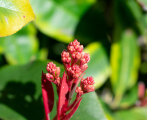 Naciendo en invierno
