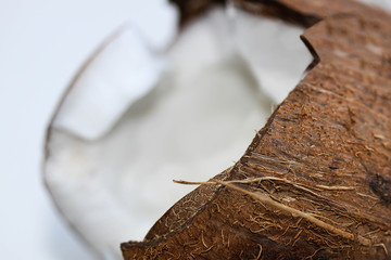 Half coconut on white Background. Clipping Path