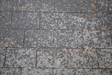 Paving stones as a background on the ground