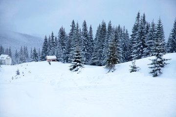 Snowy house in the mountains