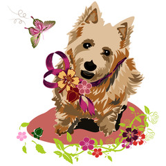 Terrier dog with flowers butterflies