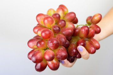 Woman hand holding a bunch  of fresh red grapes
