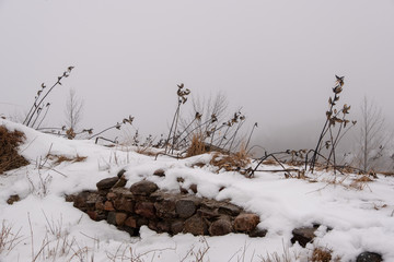 winter rocks rock plants outdoors park hike frozen nature 