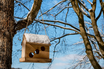 the box for the birds hanging in the tree, in winter