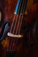Vintage contrabass on wooden floor © fotosr52