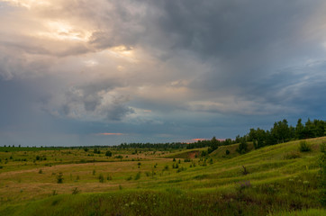 Fototapeta na wymiar Dry birch on a background of thunderstorms.