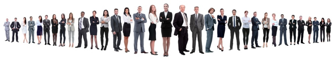 panoramic photo of a group of confident business people.