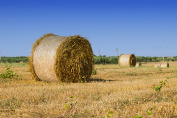 Fototapeta premium Beautiful landscape with straw bales in summer's morning
