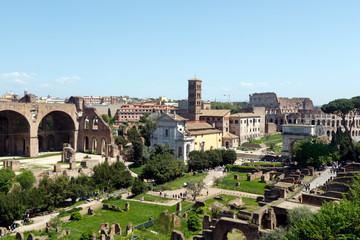 Wide angle view of the Roman Forum, with the The Basilica of Maxentius and Constantine, sometimes...