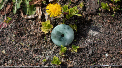 Blue jade stone with circular shape on the ground with a dandelion © Jota_Visual