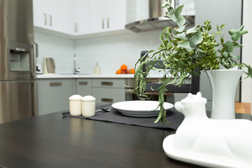 Fototapeta na wymiar Modern white kitchen