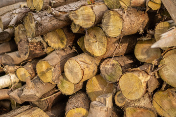 A close up of a pile of chopped wood