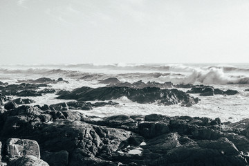 Photo of the Ocean