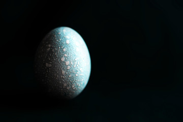 Blue moon easter egg on black background