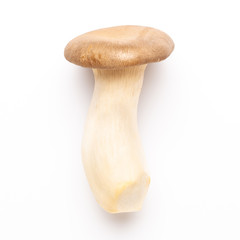 King oyster mushroom on white background.