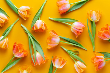 Yellow pastels color tulips on the yellow background. Retro vintage style.
