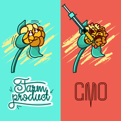 Set of vector illustrations of a farm product vs GMO syringe. healthy organic food vs harmful GMO foods. character cloudberry