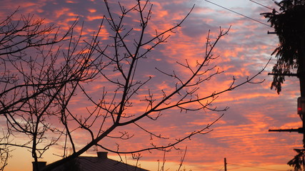OLYMPUS DIGITAL CAMERA © Magorzata