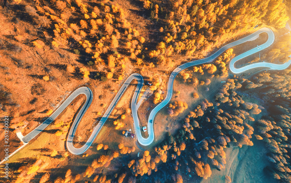 Wall mural aerial view of winding road in autumn forest at sunset in mountains. top view of beautiful asphalt r