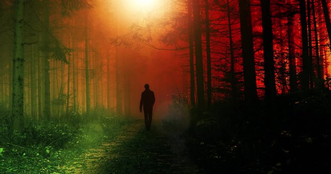 Male person walking alone in surreal colorful foggy forest landscape.