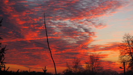 OLYMPUS DIGITAL CAMERA © Magorzata