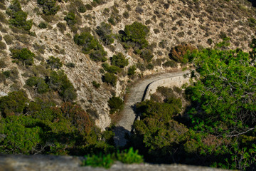 camino en la montaña