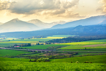Picturesque green fields and meadow landscape. Spring mountain valley.