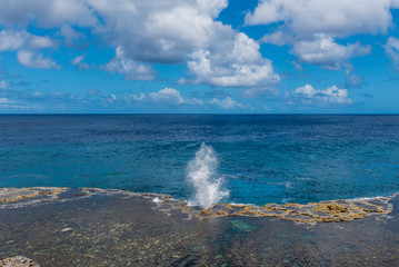 A Tonganese Blowhole