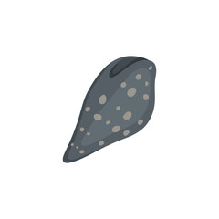 Sea shell vector icon in cartoon style.