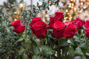 A bouquet of red roses