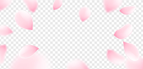 Pink sakura petals falling flower vector isolated background. Romantic blossom sakura flower petals © kolonko