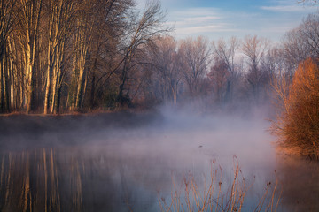 Morning fog at sunrise on the river Sile at Casale sul Sile. Trees on the shores,