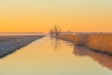 Canal in the light of sunrise below a yellow blue sky in winter