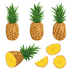 Vector summer set with pineapples isolated on white background