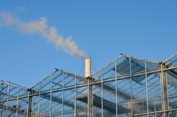 Fototapeta premium Glass greenhouse with smoking pipe emitting smoke against blue sky . Heating the greenhouses in winter .Environmental pollution.