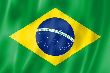 National flag of Brazil. The Brazilian characters. Illustration