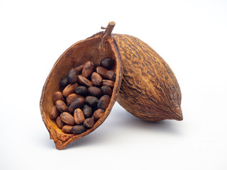 Cocoa pod ,beans and on white background