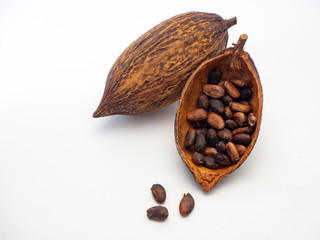 Cocoa pod ,beans and on white background